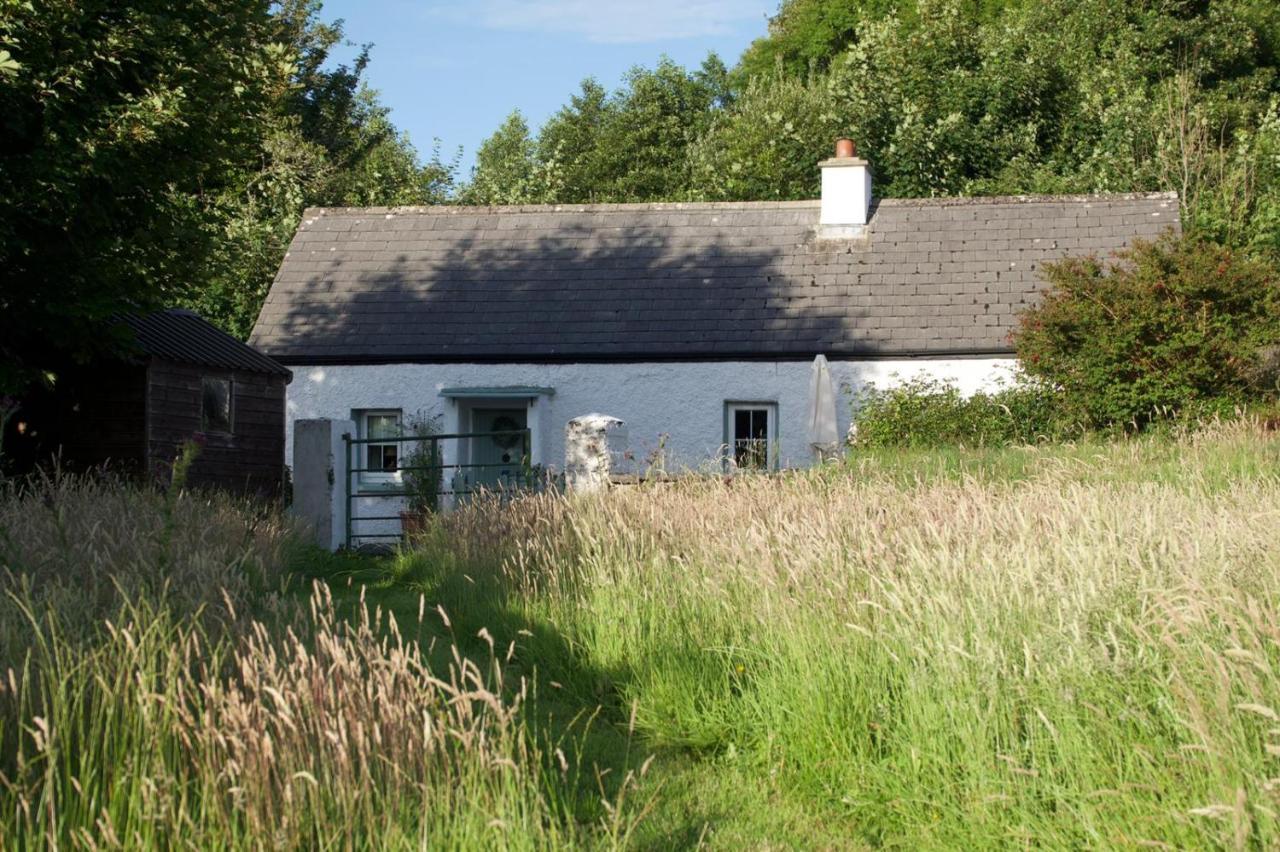 Clover Cottage Sligo Buitenkant foto