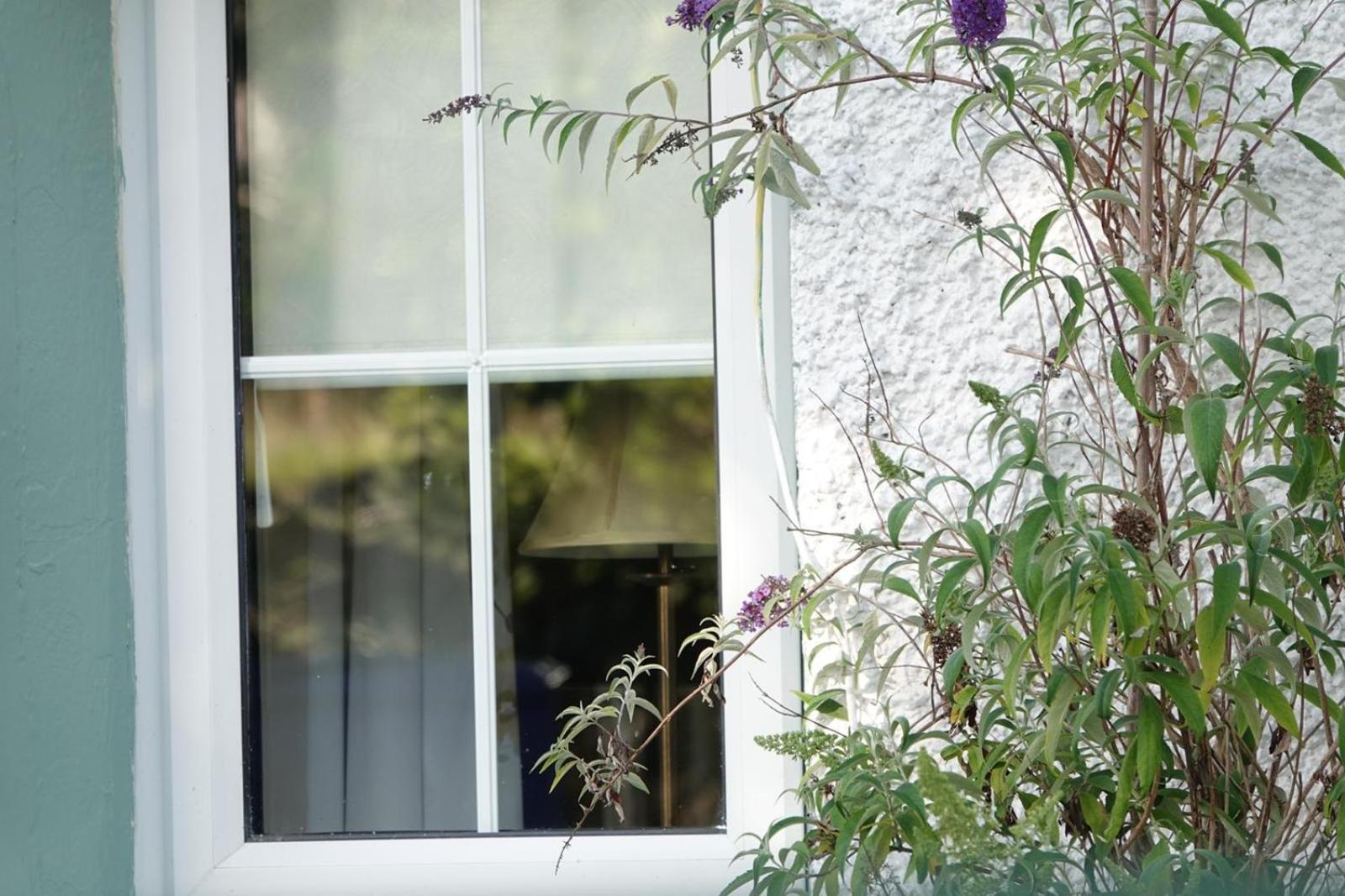 Clover Cottage Sligo Buitenkant foto